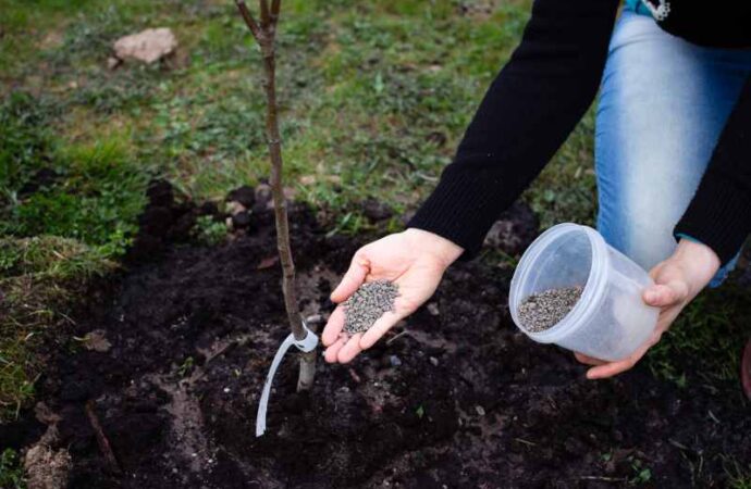 Metody spulchniania gleby w ogrodzie: ręczne i maszynowe metody poprawy struktury ziemi